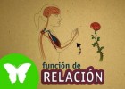 L’Eduteca - La funció de relació | Recurso educativo 743381