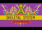 The Skeletal System | Recurso educativo 746708