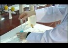 Tècniques bàsiques de laboratori: preparació de dissolucions | Recurso educativo 750240