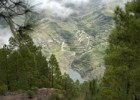 Variedad paisajística de Canarias | Recurso educativo 750903