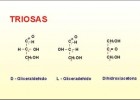 Monosacàrids | Recurso educativo 757393