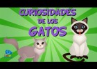 Curiositats dels moixos | Recurso educativo 767044