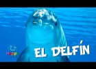 O delfín | Recurso educativo 769209