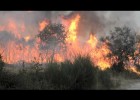 Imágenes de un incendio forestal | Recurso educativo 771557