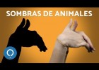Sombras chinas para niños: cómo hacer figuras de Animales | Recurso educativo 771992