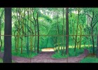 David Hockney - Woldgate Woods | Recurso educativo 774422