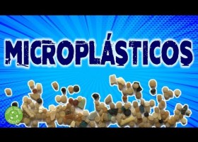Microplásticos | Recurso educativo 785831