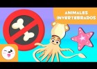 ANIMALES INVERTEBRADOS - Artrópodos, moluscos, gusanos, celentéreos, | Recurso educativo 787618