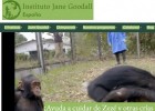 Instituto Jane Goodall. España | Recurso educativo 789812