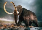 Un mamut nos montes de Lugo | Recurso educativo 7900953