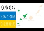 Flora y fauna del Archipiélago Canario | Recurso educativo 7902638