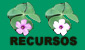 Las plantas. | Recurso educativo 30145