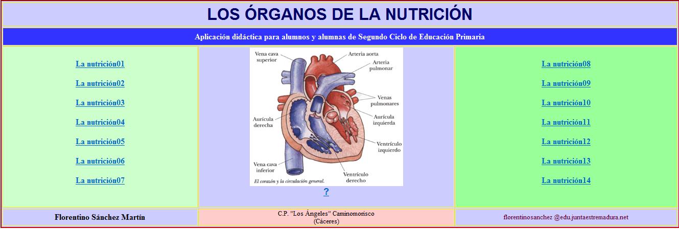 Los órganos De La Nutrición Recurso Educativo 34648 Tiching 8889