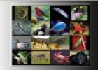 Animales vertebrados | Recurso educativo 63686