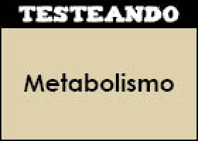 Metabolismo | Recurso educativo 351427