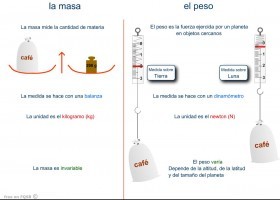 PESO o MASA - Dinamómetro o balanza | Recurso educativo 723687