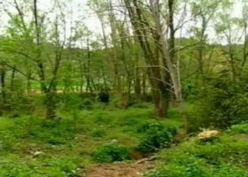 El Parc Natural de la Zona Volcànica de la Garrotxa | Recurso educativo 740434