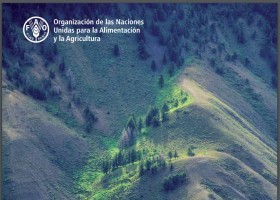 Evaluación de los recursos forestales mundiales 2015 | Recurso educativo 735207