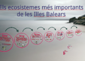 Els ecosistemes més importants de les Illes Balears | Recurso educativo 750822