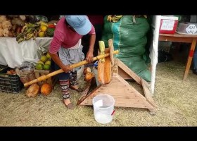 Tecnología artesanal para sacar jugo de caña | Recurso educativo 779665